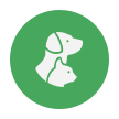 icon for pet insurance